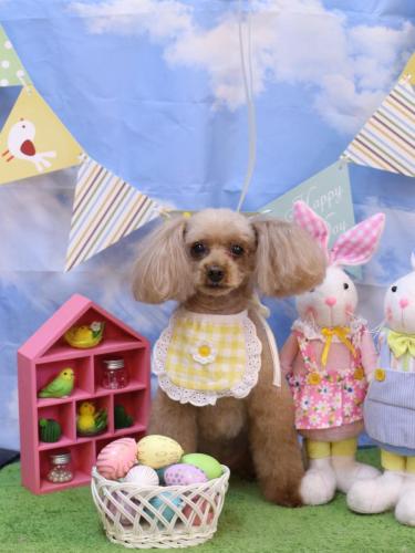 20240328メルちゃん